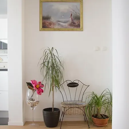 Apartment Apartment Spalato Split